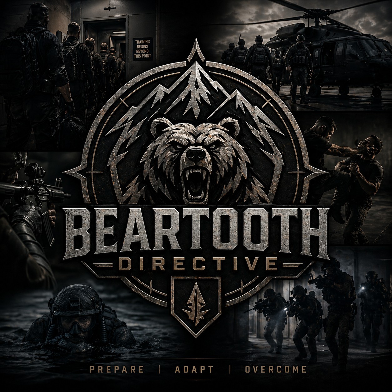 Beartooth Directive product artwork